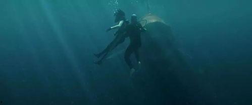 巨齿鲨在线观看,深海巨兽的惊悚回归