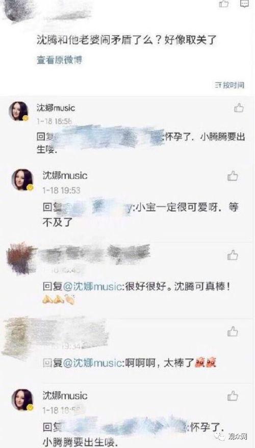 沈腾姐姐爆料完整视频,揭秘娱乐圈幕后真相  第3张