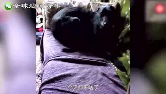 奇闻异事爆料视频,视频爆料背后的惊人真相  第2张