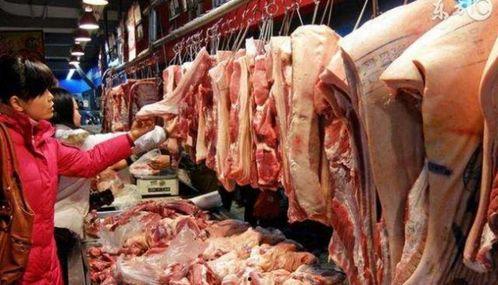 猪肉爆料视频大全集,揭秘行业真相与食品安全  第1张